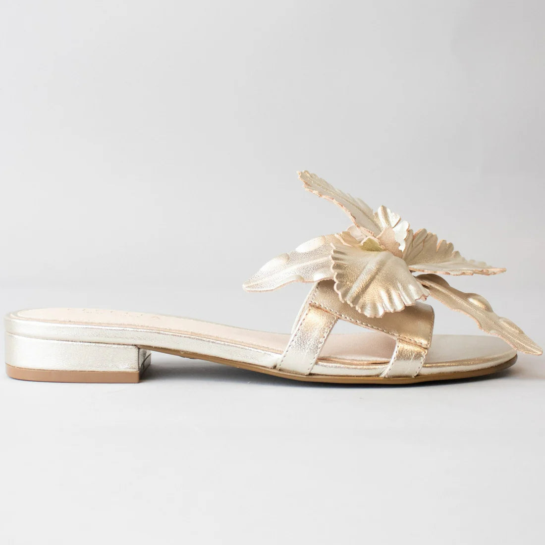 LILA - Slipper Lounge